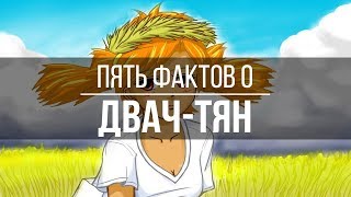 ПЯТЬ ФАКТОВ | Двач-тян