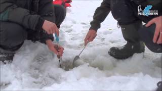Зимняя рыбалка в Бармино. Река Волга.