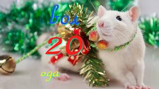 С НОВЫМ ГОДОМ и РОЖДЕСТВОМ! СЧАСТЬЯ в НОВОМ ГОДУ!!! Очень красивое поздравление!