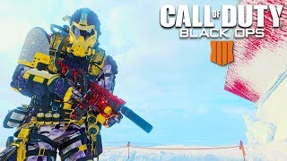Call of Duty: Black Ops 4 LIVE (HARDCORE FFA) PS4 PRO