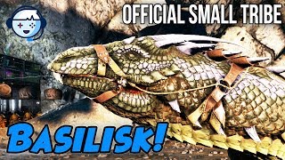 Basilisk Tame and Kibble Dinos! | Small Tribe PVP Official | ARK: Survival Evolved | Ep8