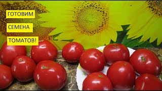 Как заготовить хорошие семена томатов своими руками?