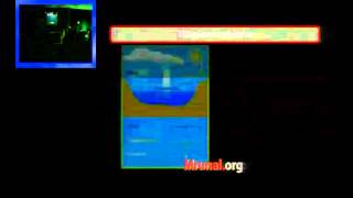 G6/P5: Tropical and Temperature Cyclones- Development & Distribution