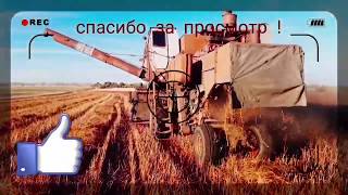 #Niva УБОРКА ГРЕЧИХИ