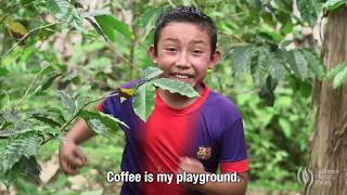 Coffee Is Life. Here's what that means.