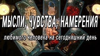 ЕГО (ЕЁ) МЫСЛИ, ЧУВСТВА И НАМЕРЕНИЯ НА СЕГОДНЯШНИЙ ДЕНЬ. ОНЛАЙН-ГАДАНИЕ НА КАРТАХ ТАРО