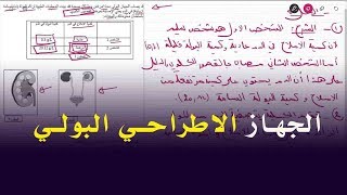 علوم طبيعية اولى متوسط وضعية ادماجية على الجهاز البولي