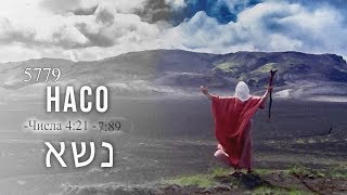 08.06.2019 "Насо" 5779 Василий Бурла
