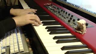 [TRÚ DẠ - PIANO COVER] Tam Sinh Tam Thế Thập Lý Đào Hoa OST - Lạnh Bạc {Trương Bích Thần}