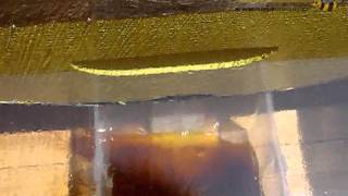 Αυτοσχέδιος ηλιακός κηροτήκτης - Home made solar wax melter