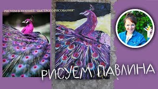 Рисуем павлина, в технике "быстрого рисования"