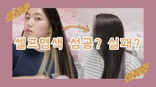 웰라 콜레스톤 염색약으로 셀프 염색!! 애쉬 퍼플 염색 (사용제품은 더보기를 참고해주세요.) │혜진HYEJIN