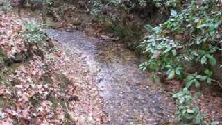 Mountain Creek Trail-FDR State Park, Pine Mountain, Georgia