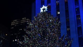 Rockefeller Christmas tree lights up in New York