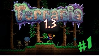 Terraria 1.3.0.8 Прохождение: #1 - Начало