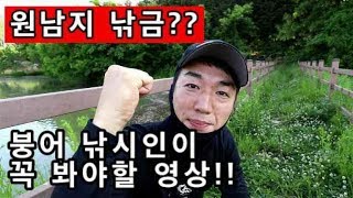 원남지 관성지 낚금 속보! 붕어낚시 최대의 위기