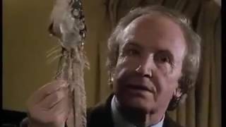 Der Alte Ende mit Schrecken Staffel 14 Folge 4 Nr. 149 1990 Komplett