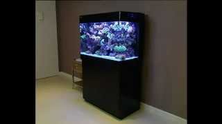 Red Sea MAX 250  ultimate all-in-one, Plug & Play, coral reef aquarium System.
