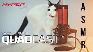 КОТ ЛИЖЕТ БАНАН [ASMR] - HyperX QUADCAST