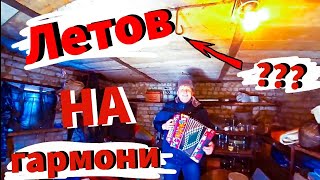 ГРАЖДАНСКАЯ ОБОРОНА НА ГАРМОШКЕ! ЕГОР кавер ЛЕТОВ СИСТЕМА!