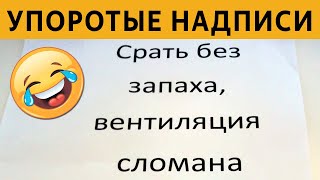 50 САМЫХ упоротых объявлений - СРАТЬ БЕЗ ЗАПАХА