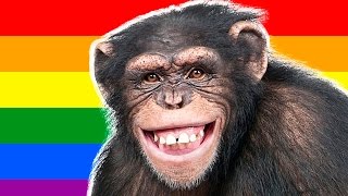 5 ЖИВОТНЫХ ГОМОСЕКСУАЛИСТОВ! Часть 1.