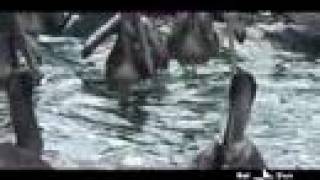 Capitani in mezzo al mare II° edizione 2 parte 2 by Port Tv