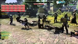 ELG TESO - 100+ игроков в гильдии