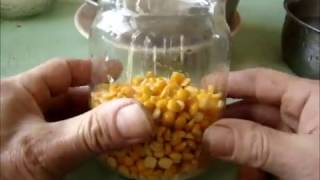 Как приготовить гороховую кашу