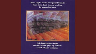 Organ Concerto in A Minor, Op. 100: I. Allegro moderato