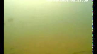 Смотреть Нано Джиг Ловля На Мормышку, Силиконовый Мотыль. - Ловля Рыбы На Мормышку Спиннингом