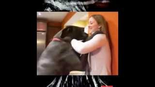 Собака и девушка зажигают! жесть(Dog and girl dance)