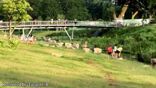 Bright side of Bishan Park (Please watch in HD quality)
