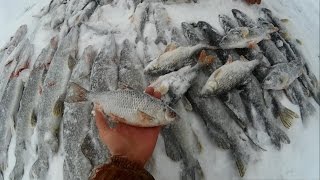 Ловля щуки на жерлицы. Рыбалка в Казахстане, река Ишим.