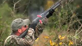 Benelli Cordoba
