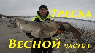 СУПЕР МОРСКАЯ РЫБАЛКА / часть 1/ Cod in the spring part 1