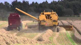 Harvest 2010: New Holland / Case IH