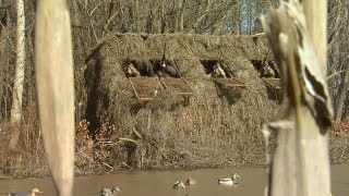 Kentucky Duck Hunt - Must see!