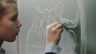 "Как Эратосфен измерил Землю" (фильм-проект по географии)