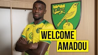 Ibrahim Amadou Signs For Norwich City On Season Loan