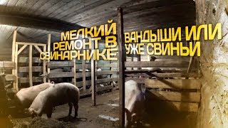 УБОРКА НАВОЗА В СВИНАРНИКЕ