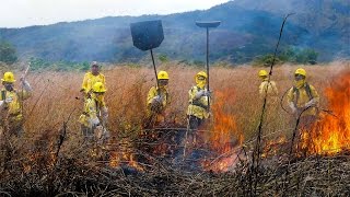 Curso Formação e Treinamento de Brigada de Incêndio Florestal - Rescaldo -  Cursos CPT