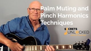 Palm Muting and Pinch Harmonics Techniques | Superstition by Stevie Wonder