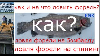 Как и на что ловить форель. Ловля форели на спининг. Ловля форели на бомбарду