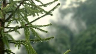 Karpaty by Morosha