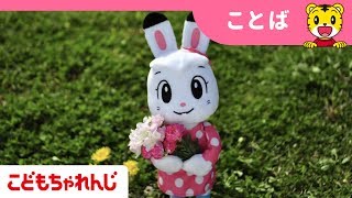 ＜こどもちゃれんじ＞「たんぽぽをさがしにいこう」みみりん編【しまじろうチャンネル公式】
