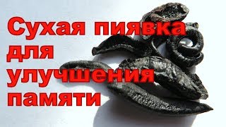 СУХИЕ ПИЯВКИ ДЛЯ УЛУЧШЕНИЯ ПАМЯТИ, КИТАЙСКИЙ РЕЦЕПТ ПРОФИЛАКТИКА АЛЬЦГЕЙМЕРА