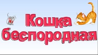 Детские песни. Смотреть песни для детей. ?Песня Кошка беспородная. Красивый клип песни для малышей.