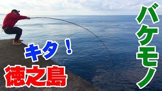徳之島の堤防が凄すぎた‼