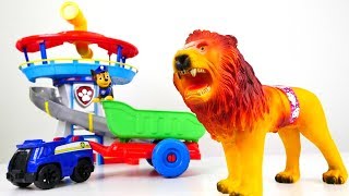 Paw Patrol yaralı Aslan'a yardım ediyorlar!